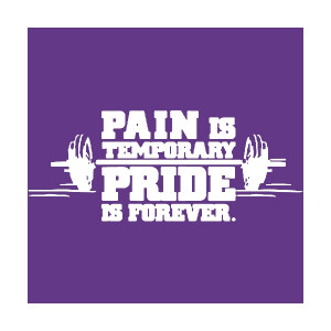 Related Pictures pain is temporary quitting lasts forever lance ...