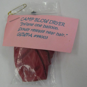 Girl Scout Swap Ideas | Blow Dryer Swap | Girl Scout Swaps Ideas