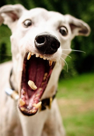 share this picture on facebook twitter