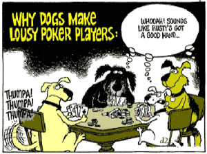 Why dogs make lousy poke players. Whooah sounds like Rusty's got a ...