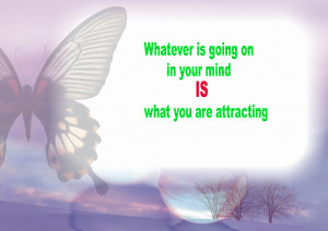 THE LAW OF ATTRACTION!!!!!