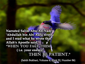 Military wife love quotes and sayings