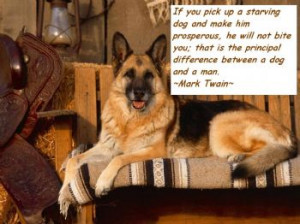 Great Dog Quotes!