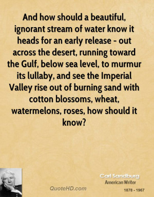 And how should a beautiful, ignorant stream of water know it heads for ...