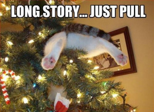 Es una larga historia, sólo sácame de aquí