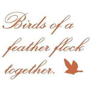 Birds Of A Feather Flock Together - Birds Quote