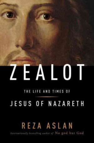 zealot the life and times of jesus of nazareth by