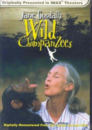 ... jane goodall s wild chimpanzees jane goodall s wild chimpanzees 2002