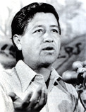 Chavez Cesar Estrada