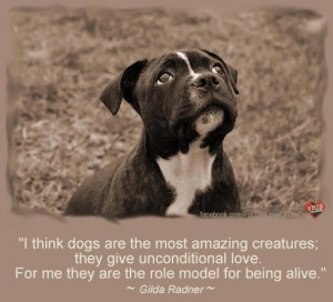 Dog Quotes [Fwd: Sharon Rajkumar]