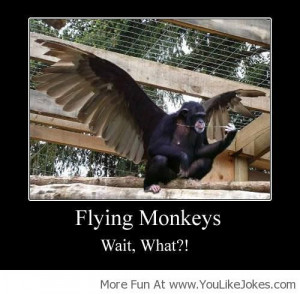 Flying Monkey! - You Like Jokes