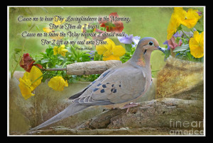 Morning Dove With Verse Photograph