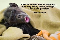 Lots Of People Talk To Animals Not Very Many Listen Though That’s ...