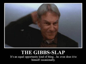 ... is a gibbs slap and gibbs gives himself a gibbs slap in this episode d