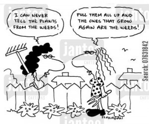 Garden Weeds Cartoon