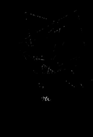 ... you'll be criticized anyway. You'll be damned if you do, and damned if