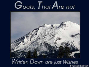 Goals that are not written down are just wishes.
