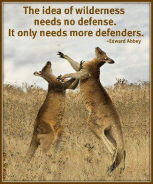 The idea of wilderness needs no defense. It only needs more defenders ...