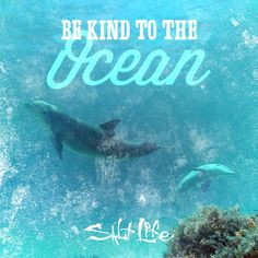 Be kind to the ocean.
