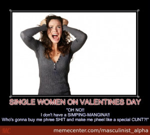 Single Valentines Day Funny...
