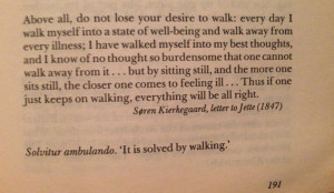 From Bruce Chatwin's 'The Songlines'