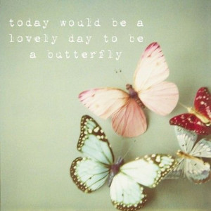 Today would be a lovely day to be a butterfly.