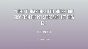 used to have this little mouse. I buy birds from the pet store and I ...