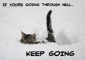 ... kitten walks through deep snow in this inspirational picture quote