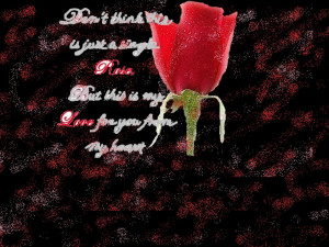 True Love Quotes Wallpaper Background With Resolution Xpx