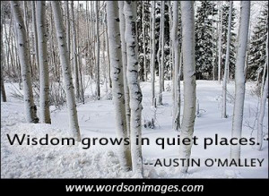 Famous wisdom quotes