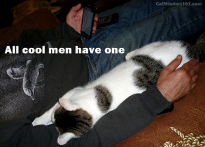 cat-quote-all cool-men-have one-cell phone
