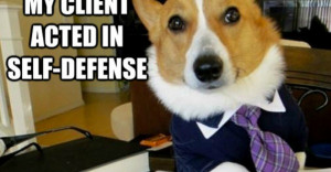 Lawyer Dog Memes Dueling-memes-lawyer-dog-vs- ...