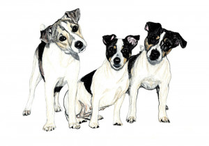 This artwork by Dan Pearce may not be used, copied, printed, or ...