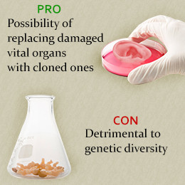 Human Cloning Pros and Cons