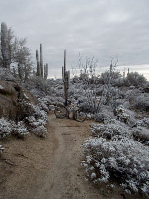 Foto Friday -- 1/2/2015 Post up those desert snow photos.-dscn0410.jpg