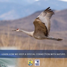 Visit a National Wildlife Refuge and connect with nature