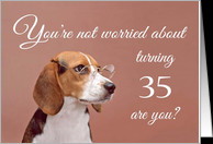 Happy 35th birthday, worried beagle card - Product #1149594