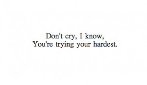 You're trying your hardest