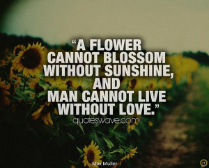flower cannot blossom without sunshine, and man cannot live without ...
