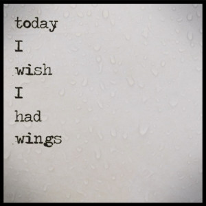 wish I had wings~March 17th 2011