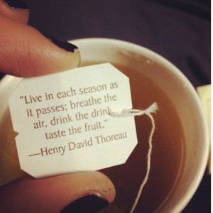 Live in each season as it passes; breathe the air, drink the drink ...