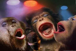 Funny Pictures of Monkeys – Cute Girl Band