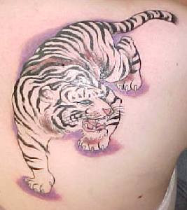 Glorious Tattoo Of Tiger