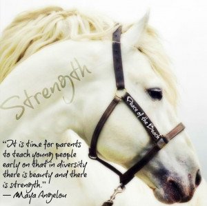 Strength and Diversity Maya Angelou quote via Peace of the Beach on ...