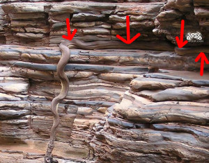 Funny Quotes Contact Dmca...