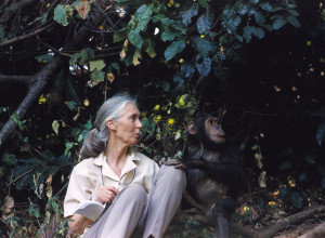 Jane Goodall With...