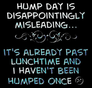 Wednesday Quotes Hump Day ~ Hump Day Quotes