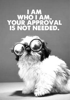 Found on foxontherun.tumblr.com