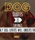 Dog Quotes: 25 Sayings Only Dog Lovers Will Understand