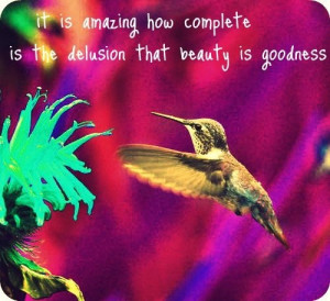 hummingbird,quote,beauty)